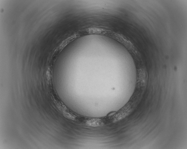 X0000083610761200703051543