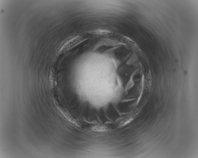 X0000083610762200703051543