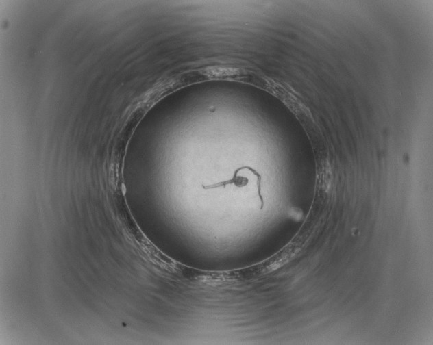 X0000083610763200703051543