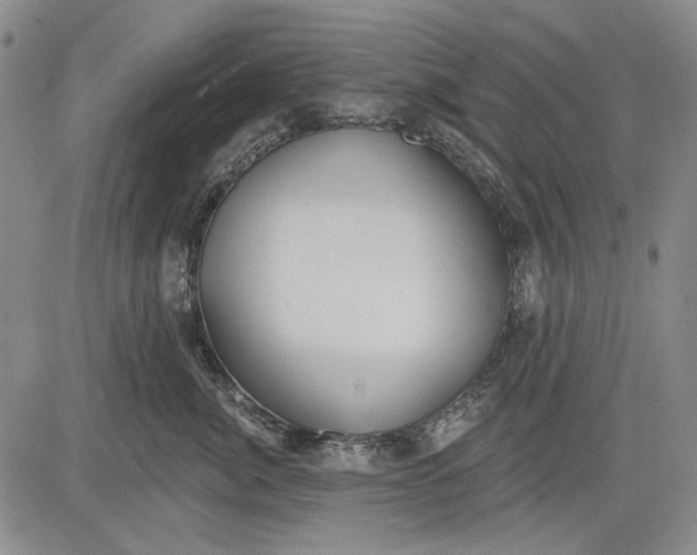 X0000083610764200703051543