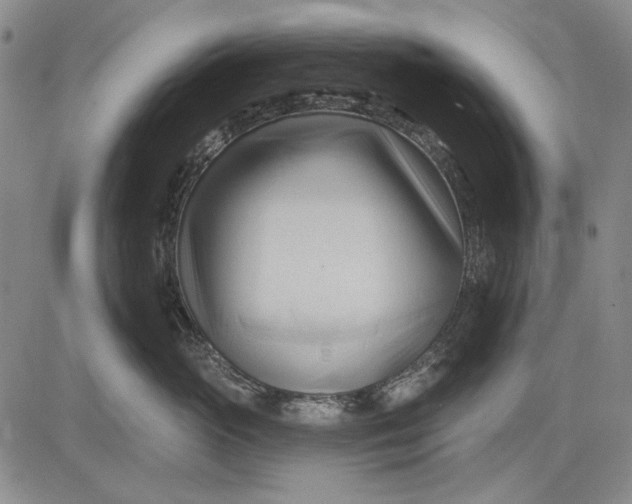 X0000083610765200703051543