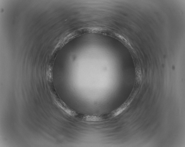 X0000083610766200703051543