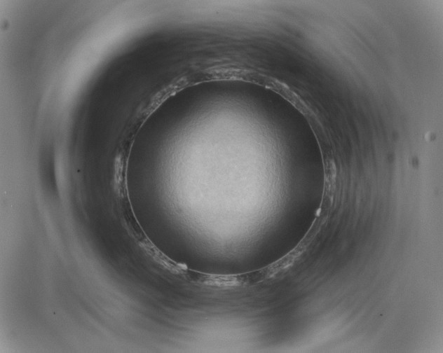 X0000083610767200703051543