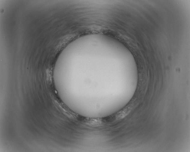 X0000083610768200703051543