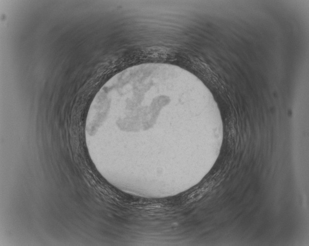 X0000083610769200703051542