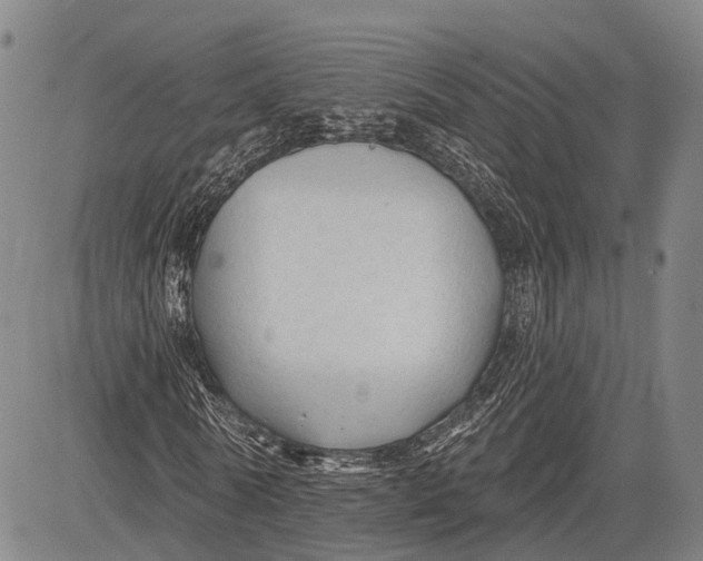 X0000083610770200703051542