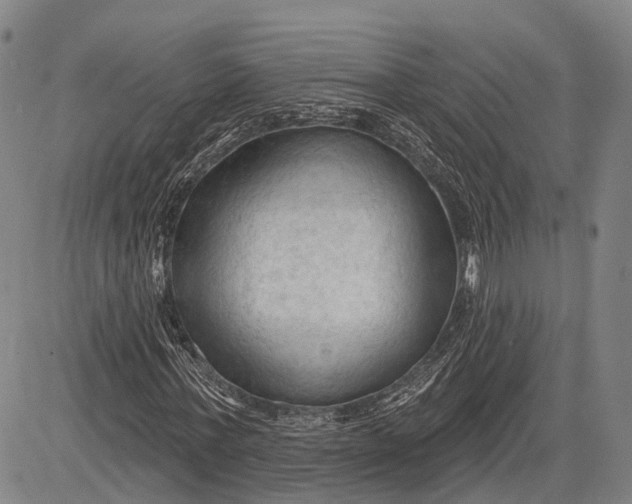 X0000083610771200703051542