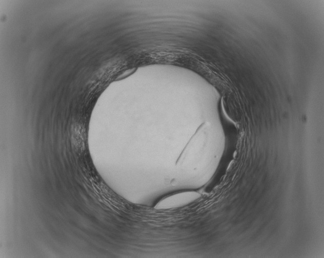 X0000083610772200703051542