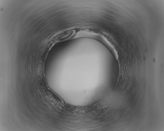 X0000083610773200703051542