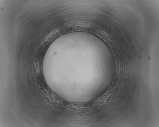 X0000083610774200703051542