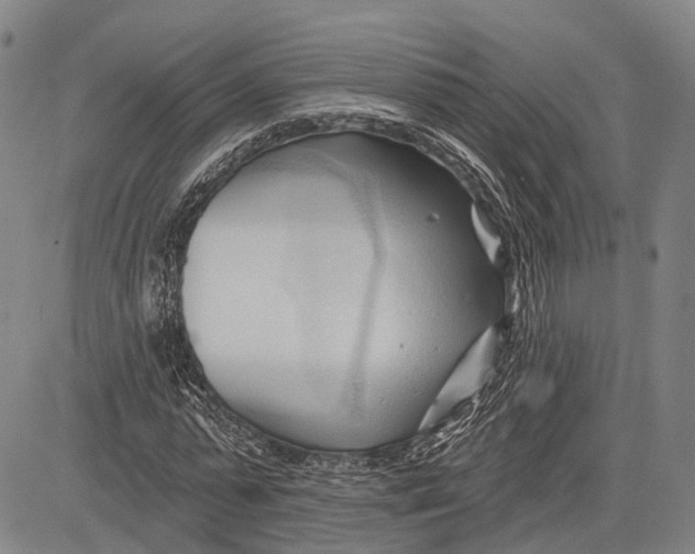 X0000083610775200703051542