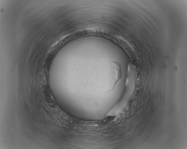 X0000083610776200703051542