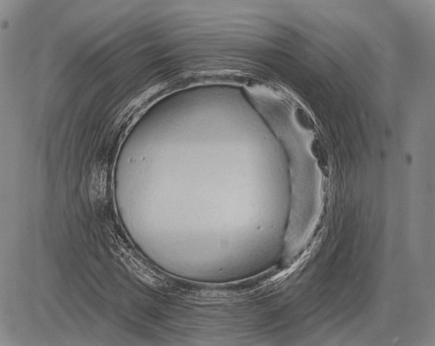 X0000083610777200703051542