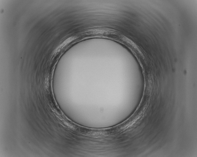 X0000083610778200703051542