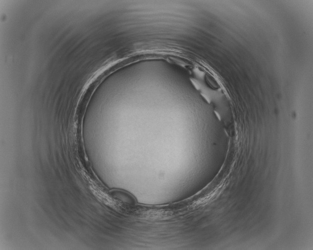 X0000083610779200703051542