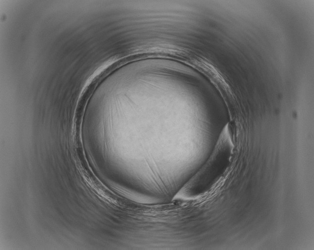 X0000083610780200703051542