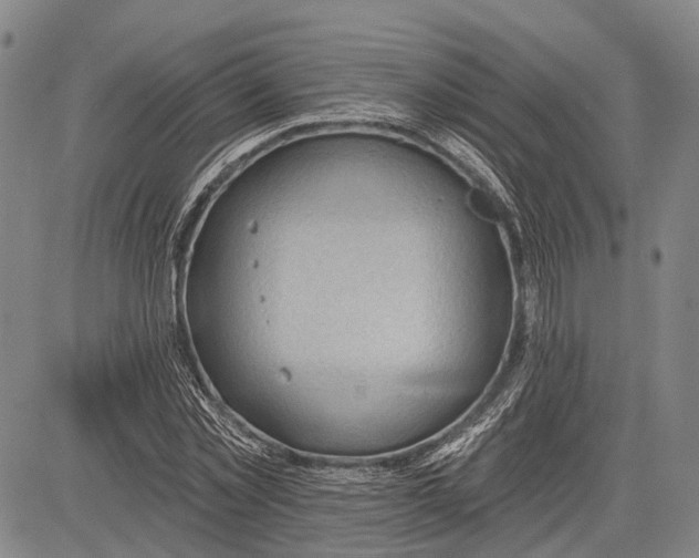 X0000083610781200703051542