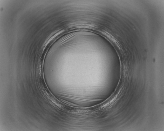 X0000083610782200703051542