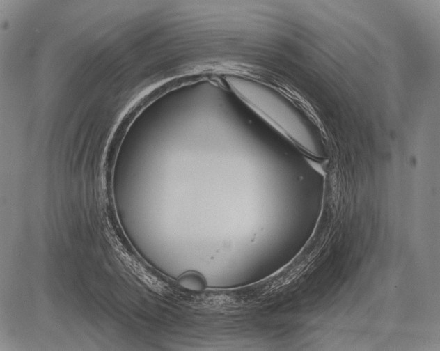 X0000083610784200703051542