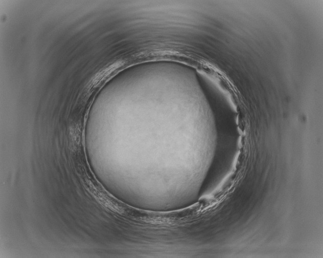 X0000083610785200703051542