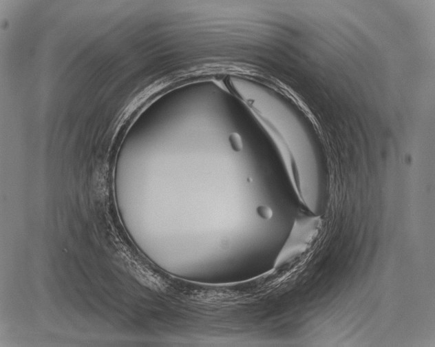 X0000083610786200703051542