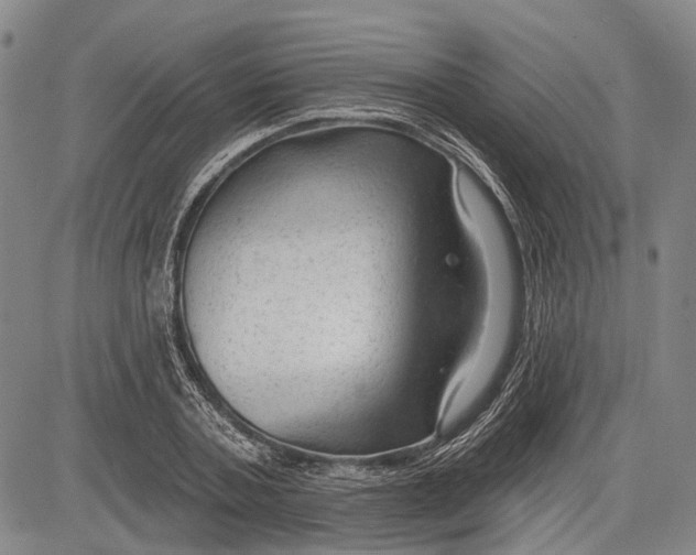 X0000083610787200703051542