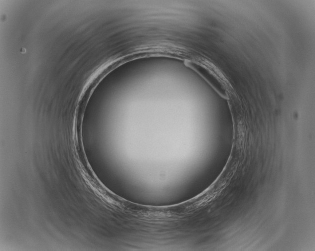 X0000083610788200703051542