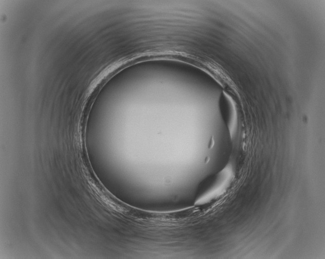 X0000083610789200703051542