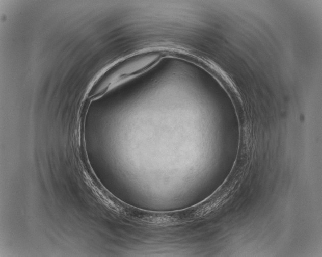 X0000083610791200703051542