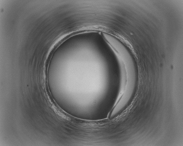 X0000083610792200703051542