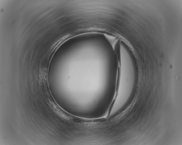 X0000083610793200703051542