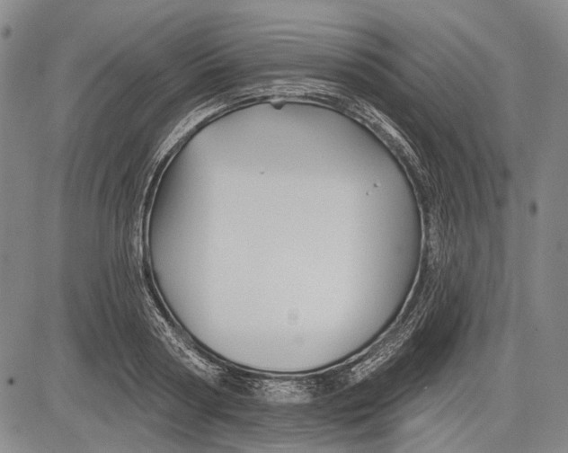 X0000083610794200703051542