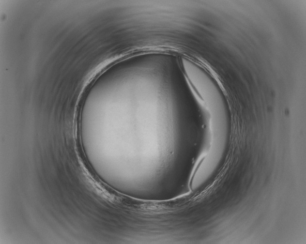 X0000083610795200703051542