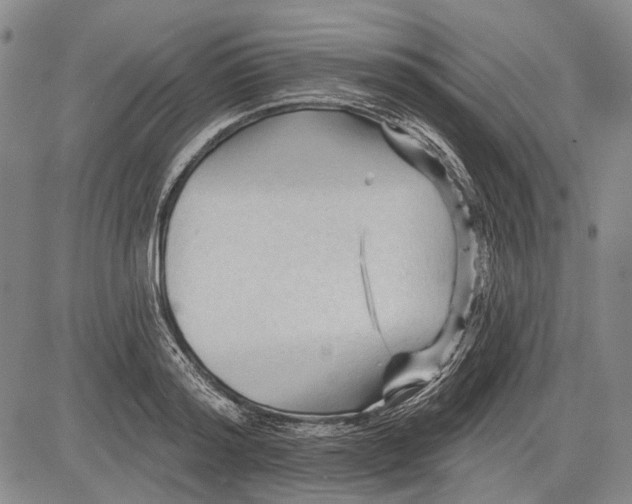 X0000083610796200703051542