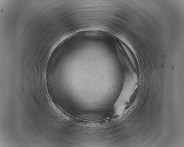 X0000083610797200703051542