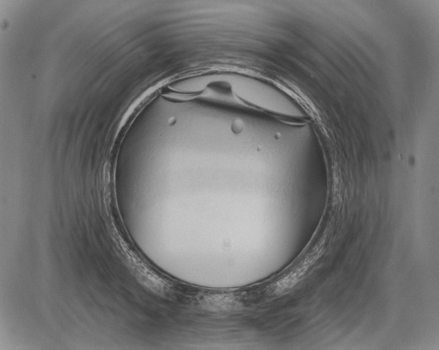 X0000083610798200703051542