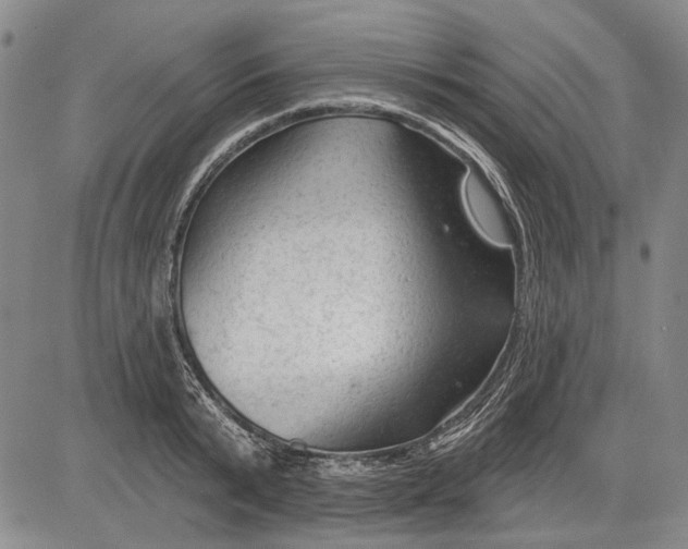 X0000083610799200703051542