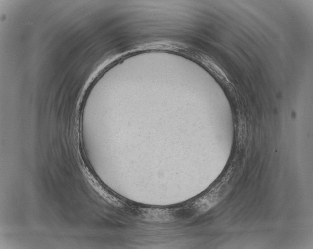 X0000083610800200703051542