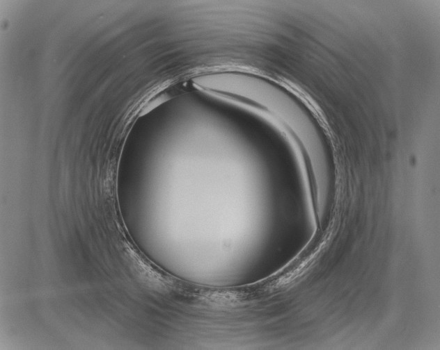 X0000083610801200703051542