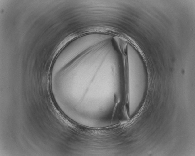 X0000083610802200703051542