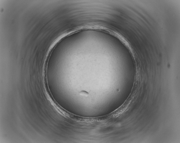 X0000083610803200703051542