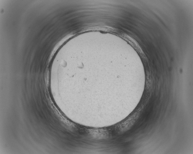 X0000083610804200703051542