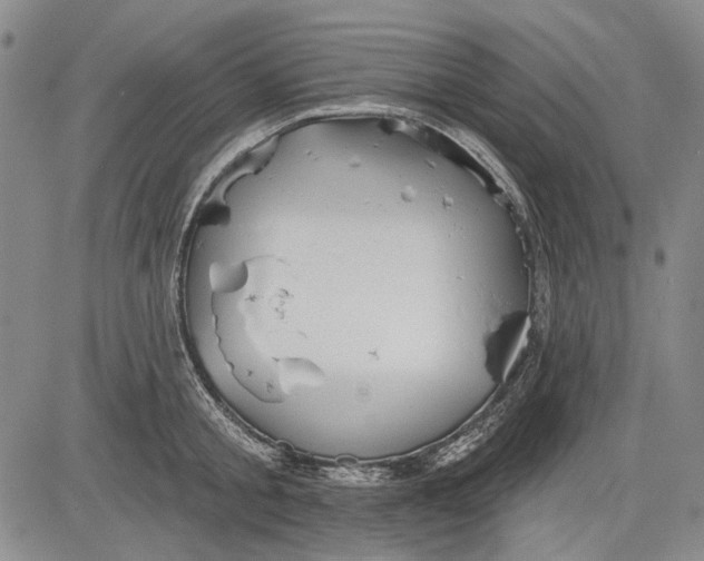 X0000083610805200703051542