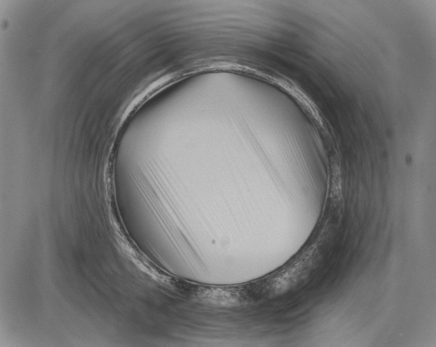 X0000083610806200703051542