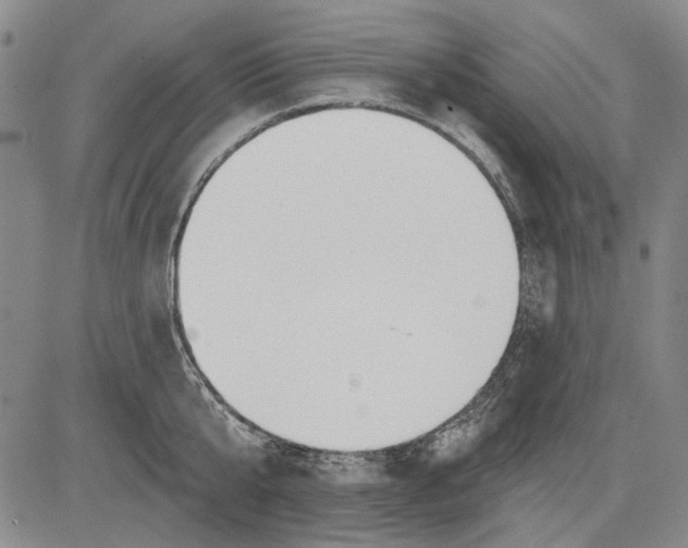 X0000083610807200703051542