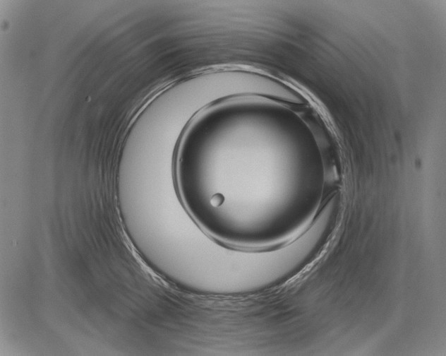 X0000083610809200703051542