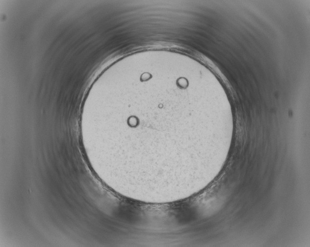 X0000083610810200703051542