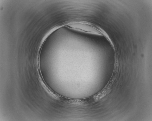 X0000083610811200703051542