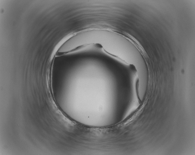 X0000083610812200703051542