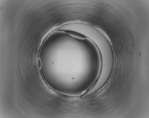 X0000083610813200703051542